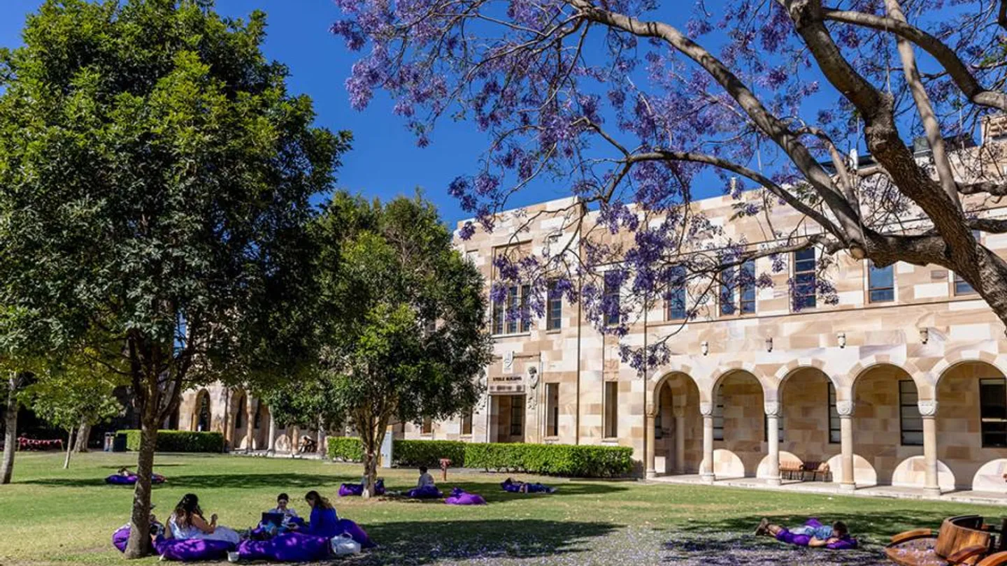 jacarandas-lm-55_0