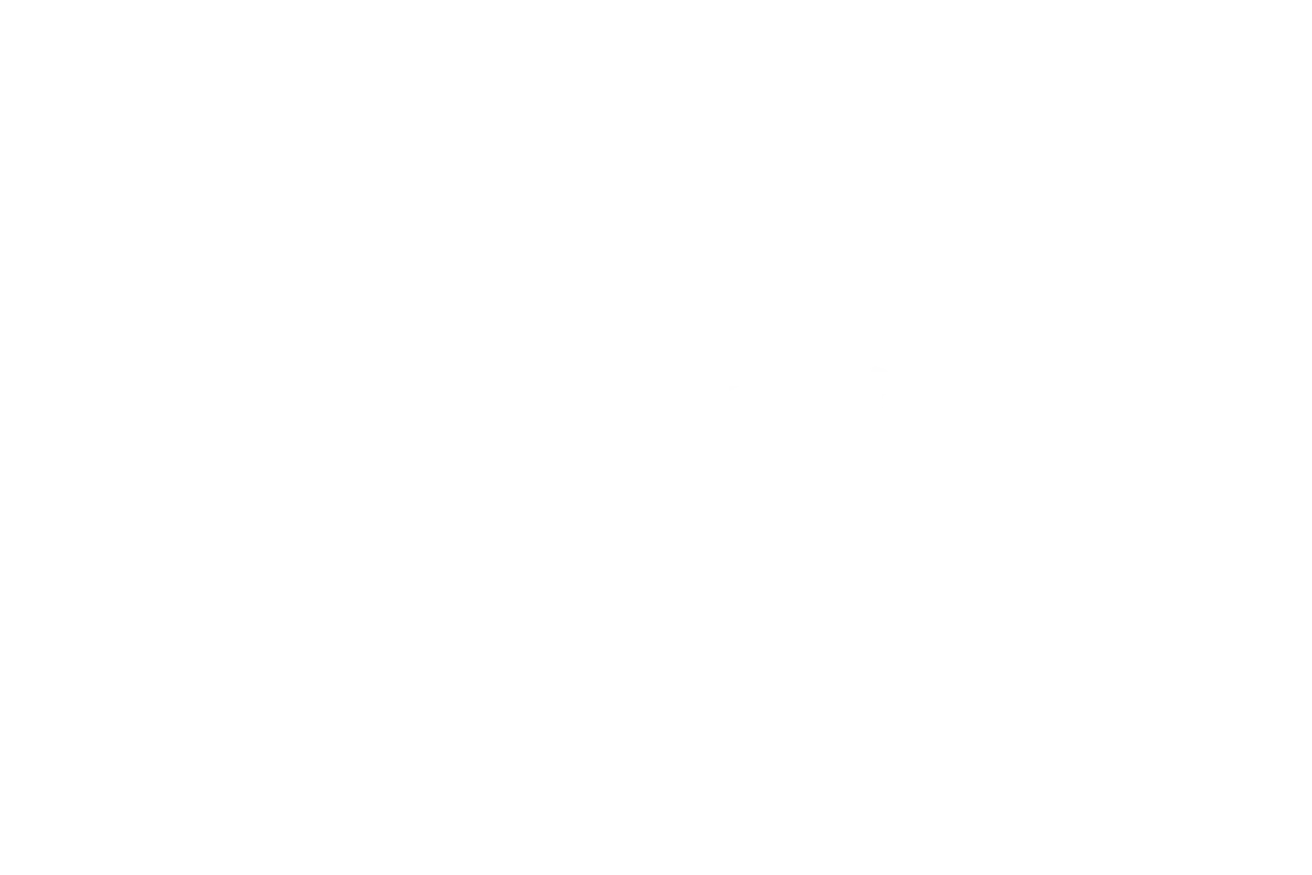 bf25_partners_dap-and-co_600x600_r
