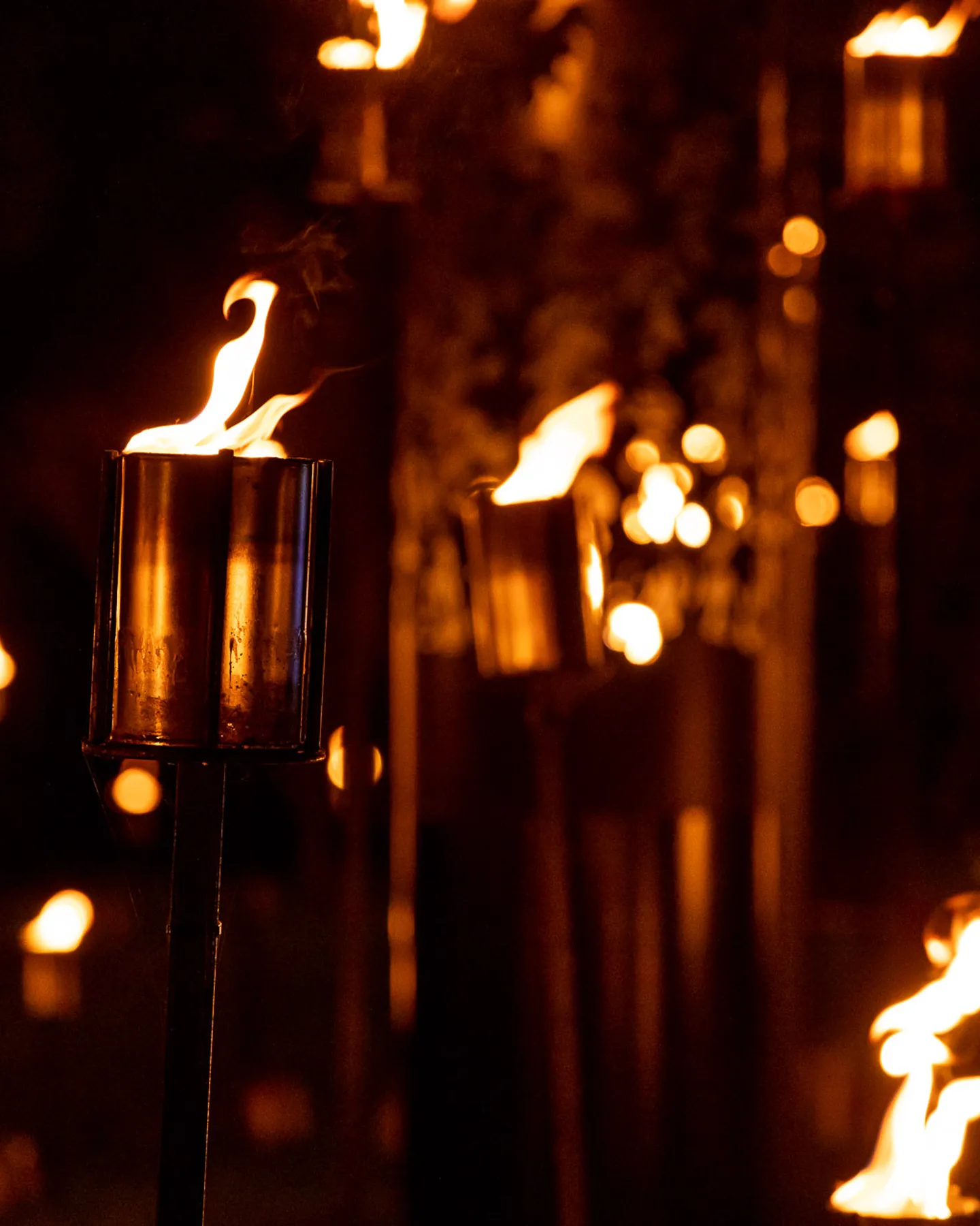 fire-garden-by-culture-creative2.-photo-by-rikard-osterlund-copyright-sony-music